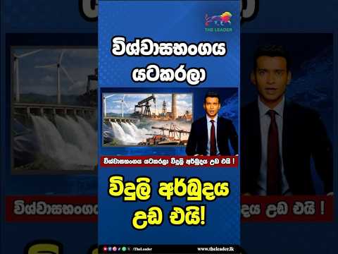 විශ්වාසභංගය යටකරලා විදුලි අර්බුදය උඩ එයි! | The Leader TV