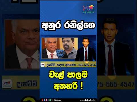අනුර රනිල්ගෙ වැල් පාලම අතහරී ! | The Leader TV