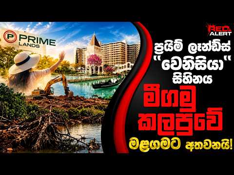 ප්‍රයිම් ලෑන්ඩ්ස් ''වෙනිසියා'' සිහිනය මීගමු කලපුවේ මළගමට අතවනයි! | The Leader