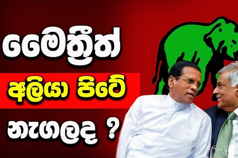 හිටපු ජනාධිපති සිරිසේනත් අලියා පිටේ නගී (කණින් කොනින් වීඩියෝවක්)