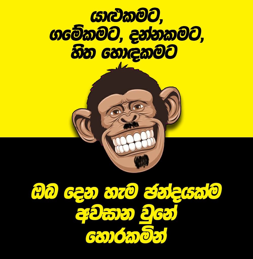 මේ පාර රැවටෙන්න එපා!