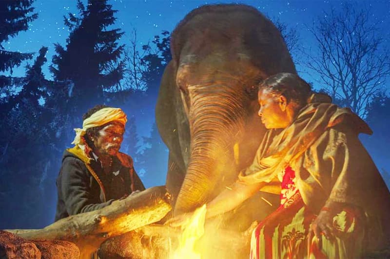 The Elephant Whisperers: 'සම්මානය පිළිබඳ සතුටු වුනත් රඝු අපි එක්ක දැන් නැති නිසා අපි ඉන්නේ දුකෙන්'