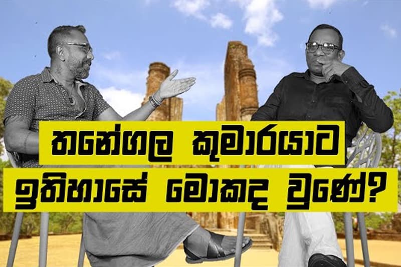 ඉතිහාස කයි-වාරුව 08 : තනේගල කුමාරයා ඉතිහාසෙන් පිටමං කළේ ඇයි?