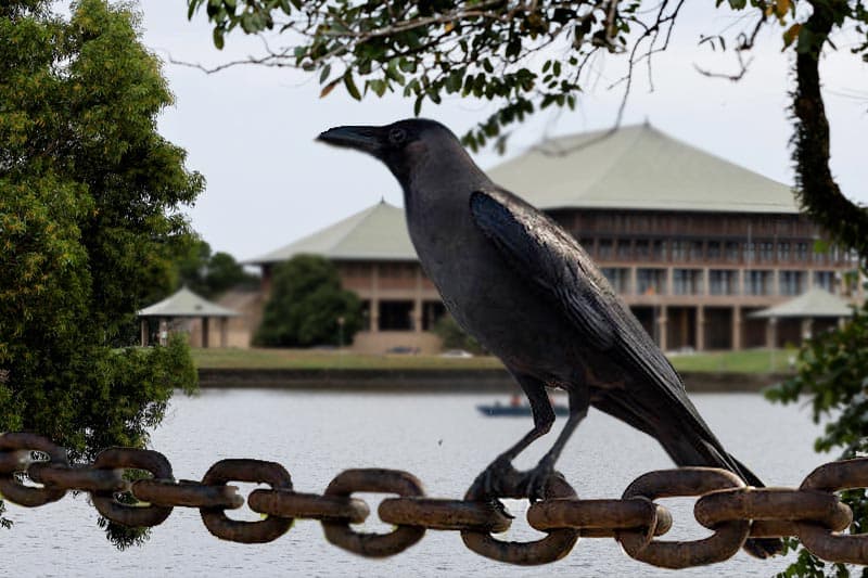 මුන් ඔක්කොම යාලුවෝ නේ මල්ලි - (මහිම සුජීව ගමගේ)