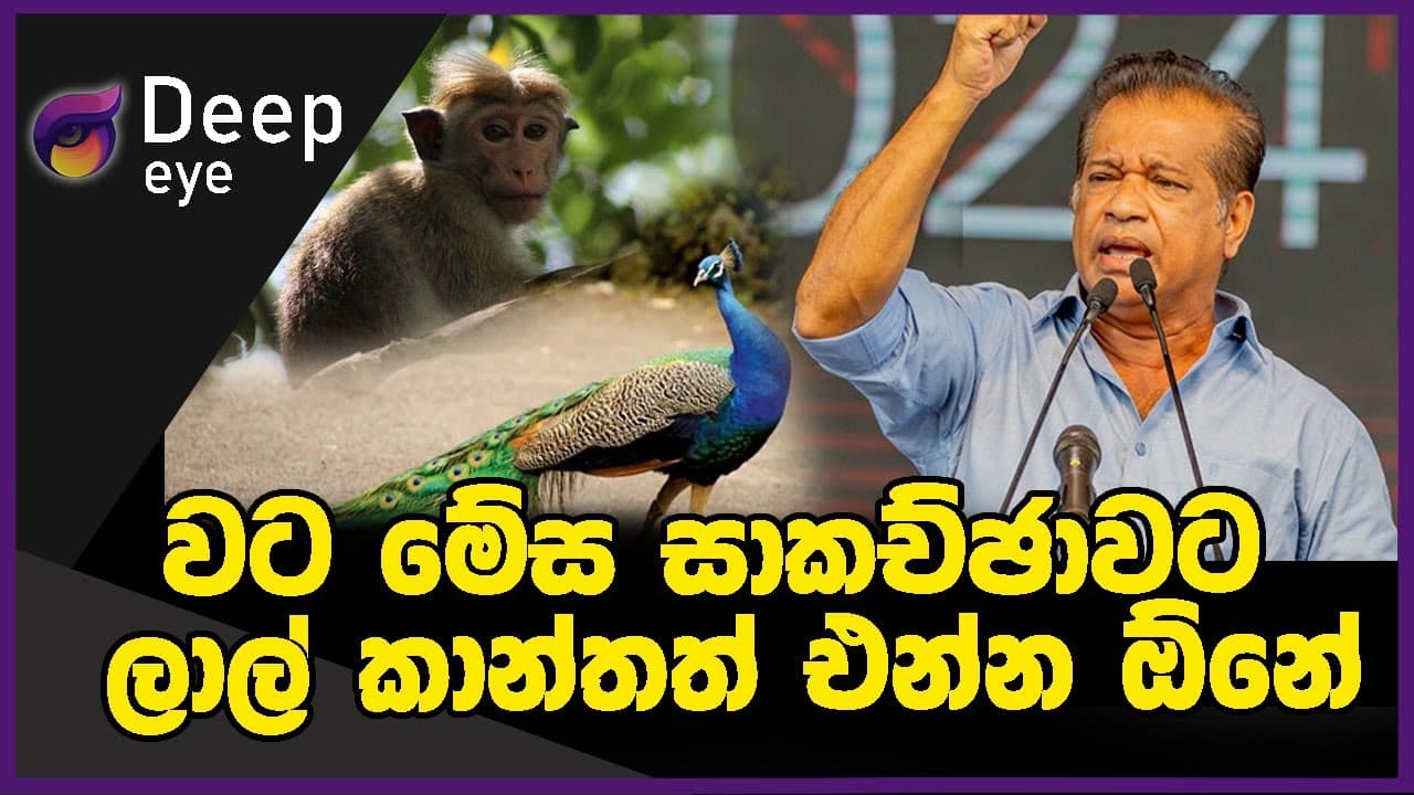 වට මේස සාකච්ඡාවට ලාල් කාන්තත් එන්න ඕනේ | DEEP EYE | The Leader TV