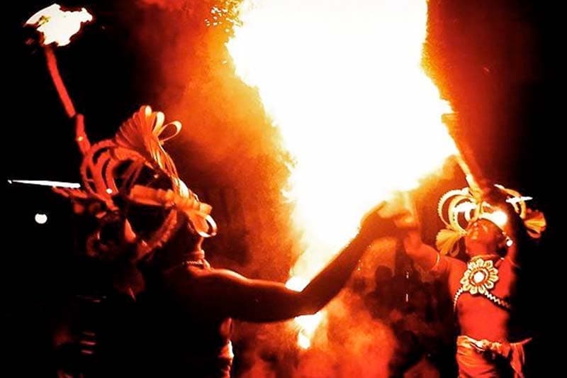 ආචාර්ය උපාධි නැති මාතර යකැදුරෙකු ගේ පැටිකිරිය සොයා ගියෙමි | තිලක් සේනාසිංහ