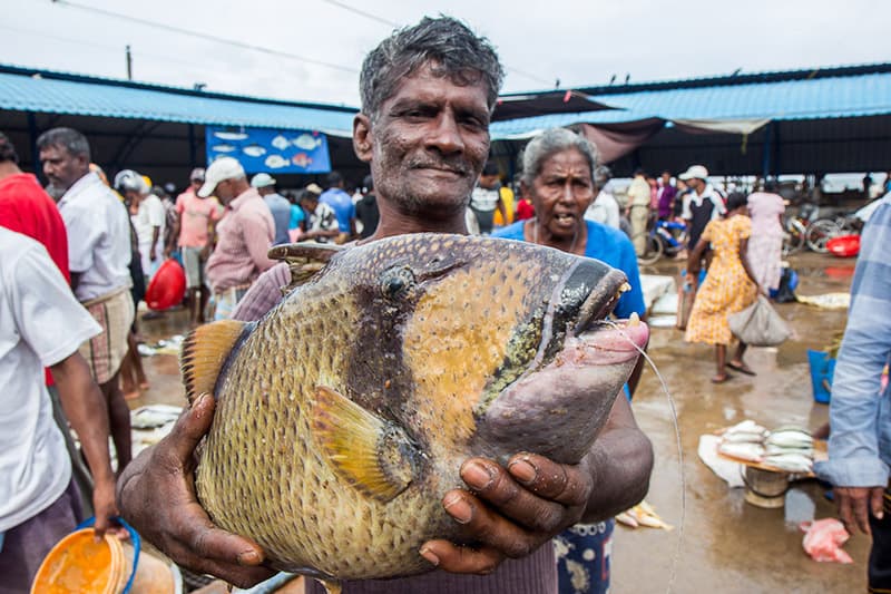 දකුණේ අය කට්ට ද ? ස්මාට් ද ? වෛද්‍ය විද්‍යාත්මක හෙලිදරව්ව (වීඩියෝ)