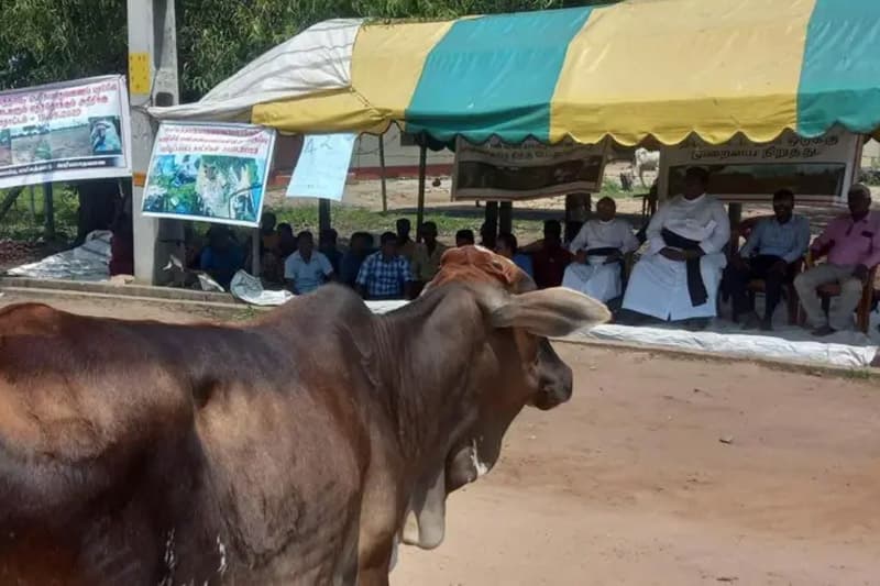 මඩකළපුව කිරි ගොවි සටන; විසඳුමක් නොමැතිව වසර එක හමාරක්.. | ඉෂංඛා සිංහආරච්චි
