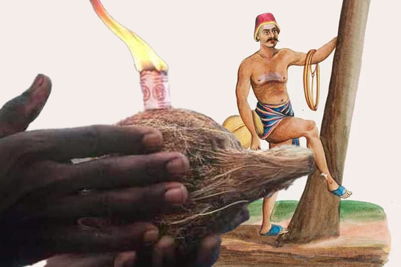 රට අමුඩයාගේ මලයාලම් පොල් ගෙඩි ගුරුකම | තිලක් සේනාසිංහ
