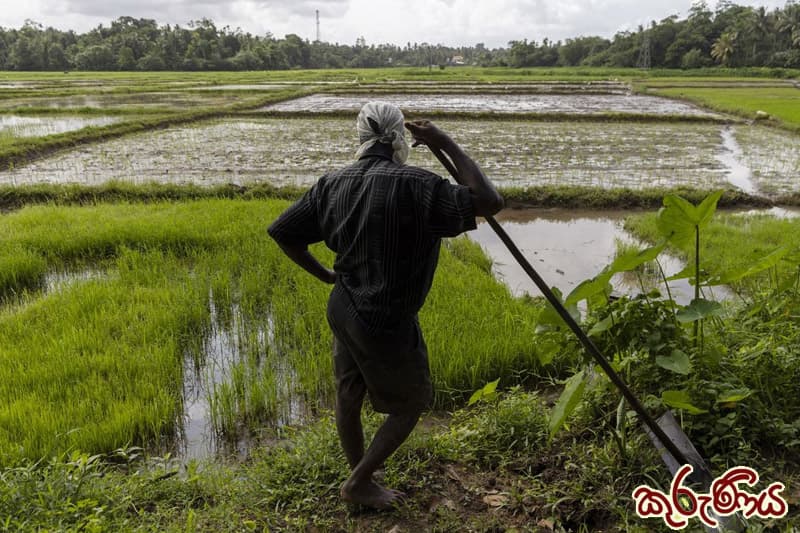 කුරුණිය: අපේ දරුවෙක් වගේ හිටපු මහ පොළොවට වහ දුන්නු  ජාතියක් අපි (2 කොටස) | ඉන්දු පෙරේරා