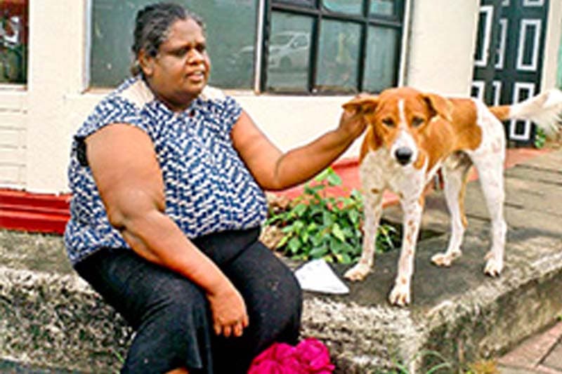 ගණේමුල්ල නගර මැද්දේ හමුවන සුනඛයා සහ කාන්තාව | තිලක් සේනාසිංහ