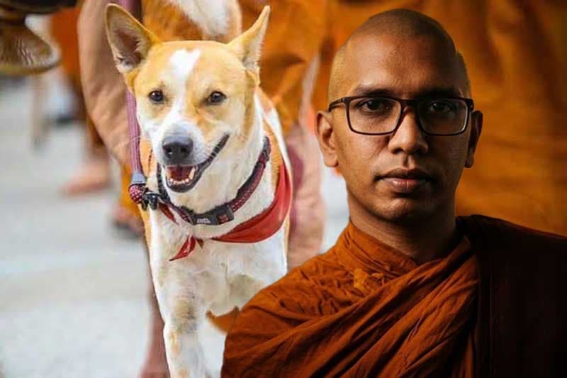 'ආලෝකෝ උදපාදී' හෙවත් ආලෝකා පැරඩොක්සිය 'Light Arose” with the Paradox of Aloka' | Enokaa Sathyangani