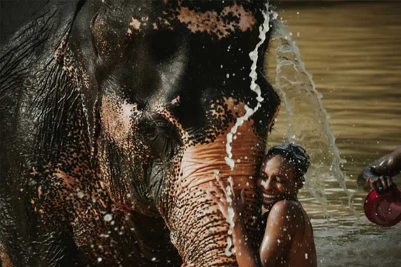 මිනිස් - සත්ව ආදීතම නෑකමක් ගැන නවීන විද්‍යාවෙන් ඉඟියක් ; සතුන් මිනිස් ජනාවාස වෙත ආකර්ෂණය වීමේ විද්‍යාත්මක රහස!