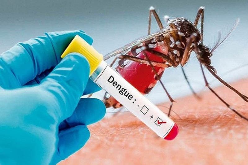 ඩෙංගු මරණ 36ක් දක්වා ඉහළට: ආසාදිතයන් 57,000 පනී; බස්නාහිර පළාත දරුණුම අනතුරක!