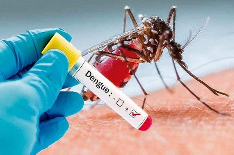 මෙරට ඩෙංගු රෝගීන් සංඛ්‍යාව 82,000 ඉක්මවයි: මර්දනයට ඇමෙරිකානු සහාය හිමිවෙයි