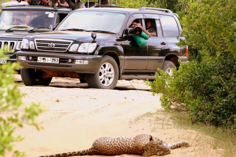 නායකයෙකු සොයන පuzzle එක (15) ; සජිත්ගේ කොටියා | මහාචාර්ය ප්‍රදීප් එන්’ වීරසිංහ