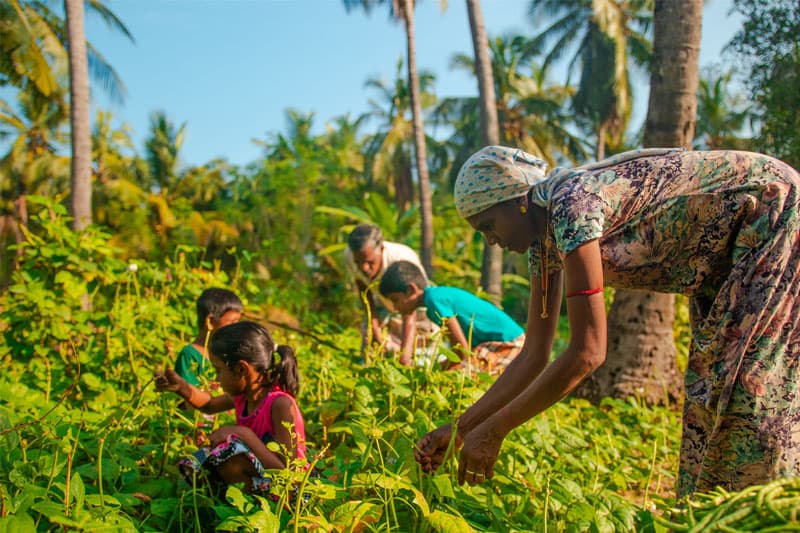 ගම හදා රට හැදීම සිහිනයක් පමණක් නොවන්නට නම්....