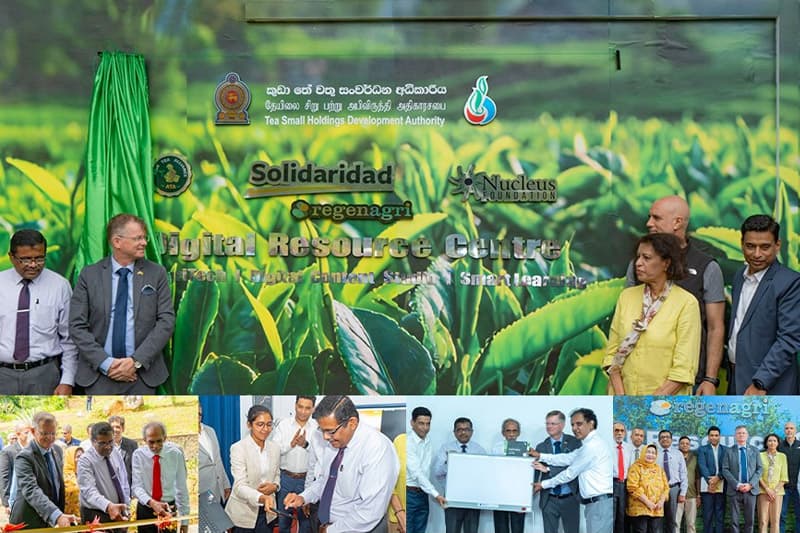 ලංකා තේ කර්මාන්තයට ඩිජිටල් විප්ලවයක්: කුඩා තේ වතු හිමියන් නංවාලීමට නව සම්පත් මධ්‍යස්ථාන පිහිටුවයි!