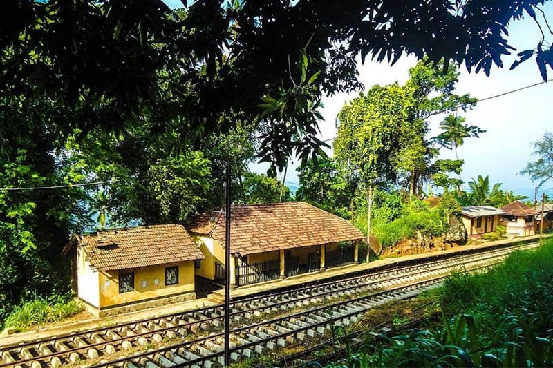 අලගල්ල කඳු මුදුනේ පැවැති අමුතුම තාලේ නිදහස් සැමරුමට මොකද වුණේ? | තිලක් සේනාසිංහ