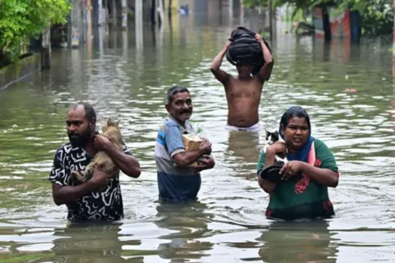 ආපදාවට ලක්වූ සතුන් වෙනුවෙන් පශු වෛද්‍ය සහාය