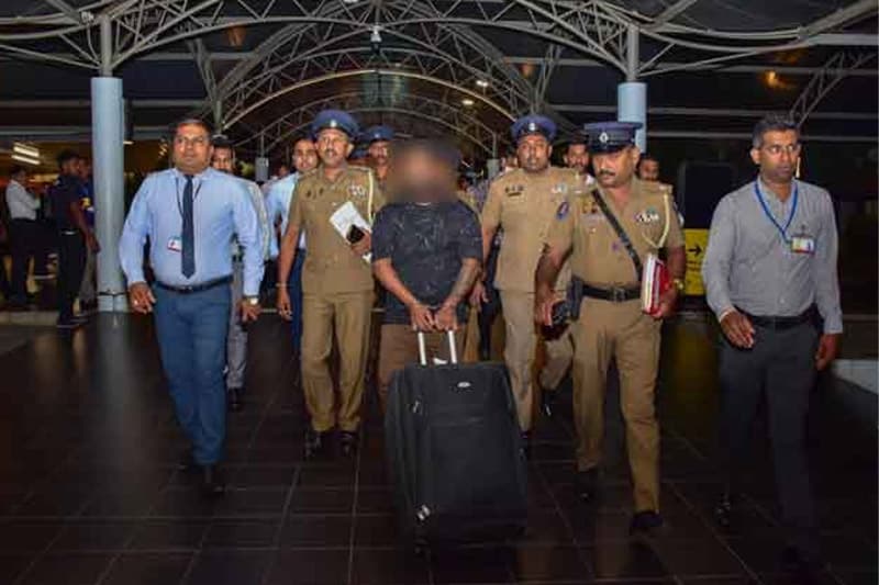 දිවයිනට රැගෙන ආ 'කෙසෙල්වත්තේ දනූෂ'ට මොකද වුණේ?