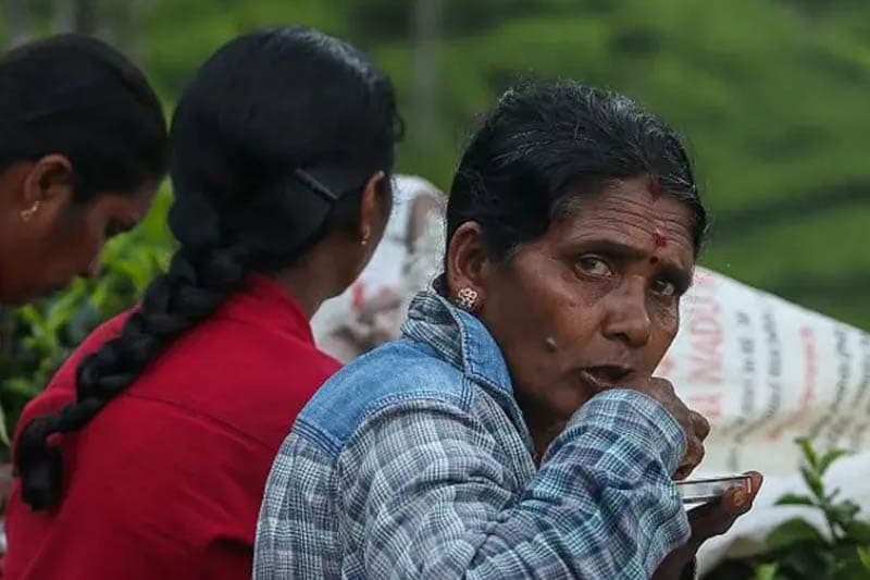 වතු කම්කරුවන් ගේ ඇත්ත ප්‍රශ්නය රුපියල් 200කින් විසඳිය හැකි ද...? - ධනනාත් ප්‍රනාන්දු (වීඩියෝ)