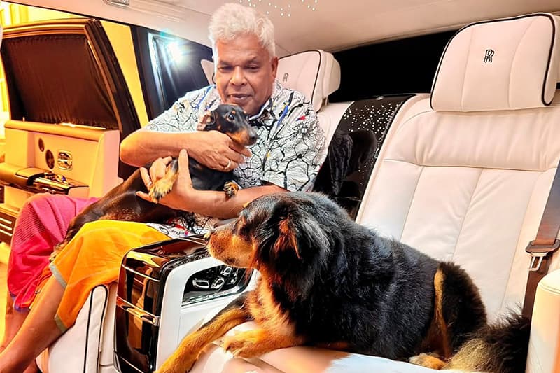 ඩඩ්ලිගේ ශෘංගාරය