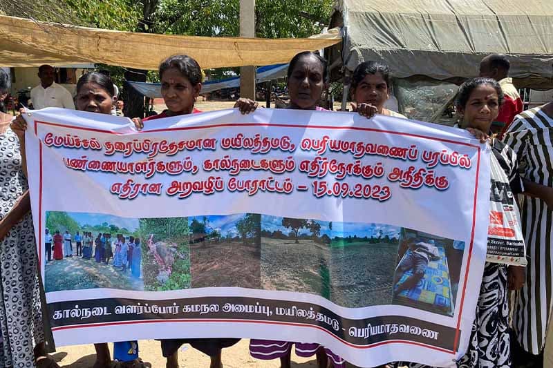 අවුරුදු දෙකක් ගතවූ නැගෙනහිර කිරි ගොවි අරගලයට තාමත් විසඳුම් නෑ