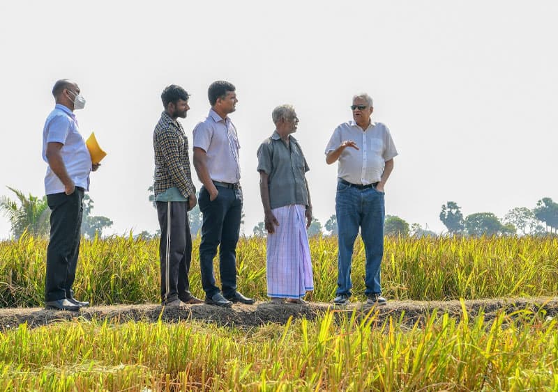 වී වෙනුවට රෝසමල් වවන ලිච්ඡවි ක්‍රමය - (ආචාර්ය මහේෂ් හපුගොඩ)