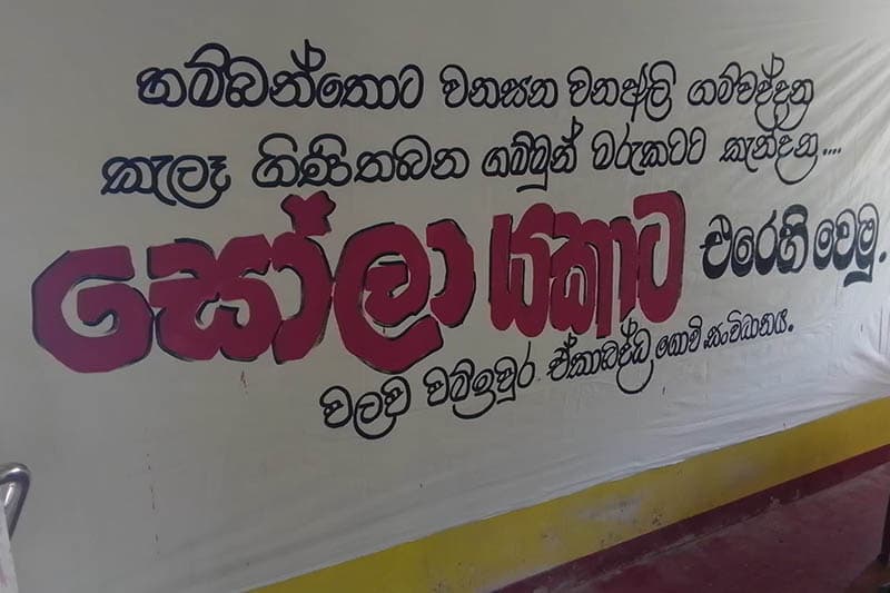 හම්බන්තොට සූර්ය බලශක්ති ව්‍යාපෘති භූමියක ගිනි තැබීමක් ! - පොලිස් විමර්ශන ඇරඹේ
