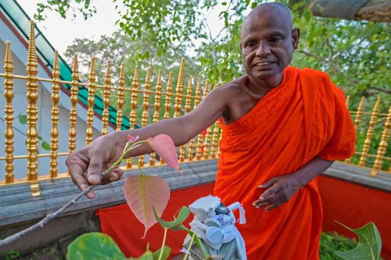 ළමා අපචාර චුදිත නාහිමියන්ගේ රිමාන්ඩ් භාරය ගැන අධිකරණය අතීරණයේ