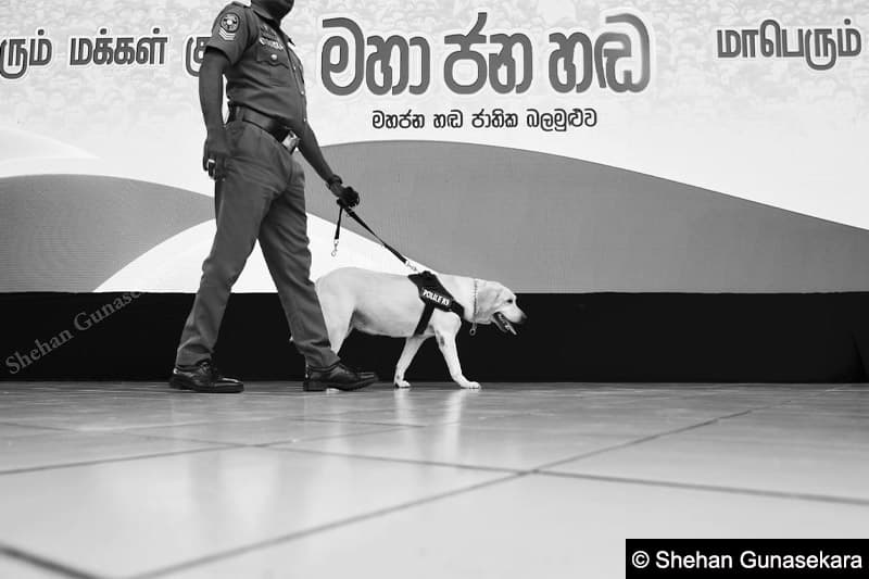 රැඩිකල් දේශපාලන අදහස් වෙනුවට ජවුසන් නැටීම | Samabima Party