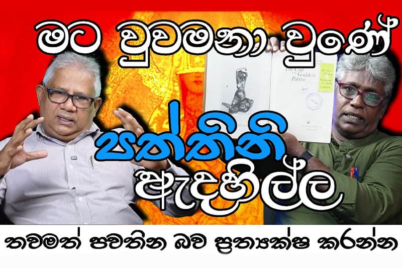 මට වුවමනා වුණේ පත්තිනි ඇදහිල්ල තවමත් පවතින බව ප්‍රත්‍යක්ෂ කරන්න - මහාචාර්ය ප්‍රේමකුමාර ද සිල්වා (වීඩියෝ)