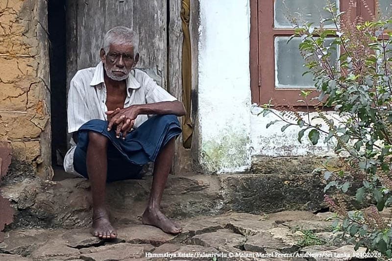 හැම්මෑලිය වත්තේ මලෛයහා පවුල් 09, හෙට කන්දෙන් පල්ලට ද!
