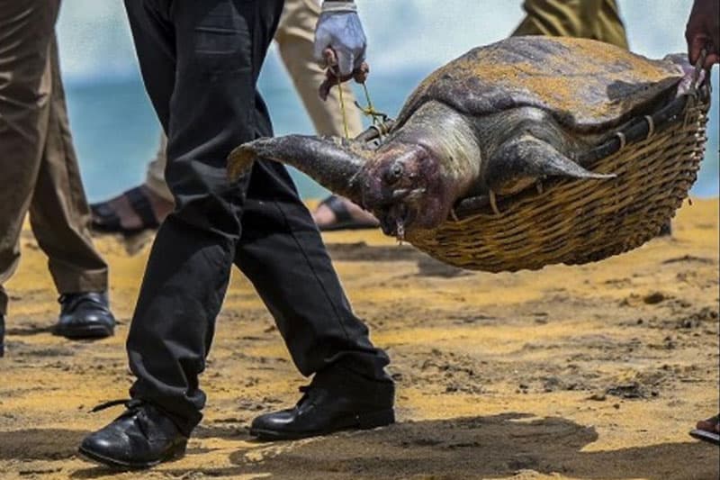 එක්ස්ප්‍රස් පර්ල් (X-Press Pearl) ව්‍යසනයට පස් වසරක් - ලංකාවට කිසිම වන්දියක් නොලැබේවිද? | Saroj Pathirana