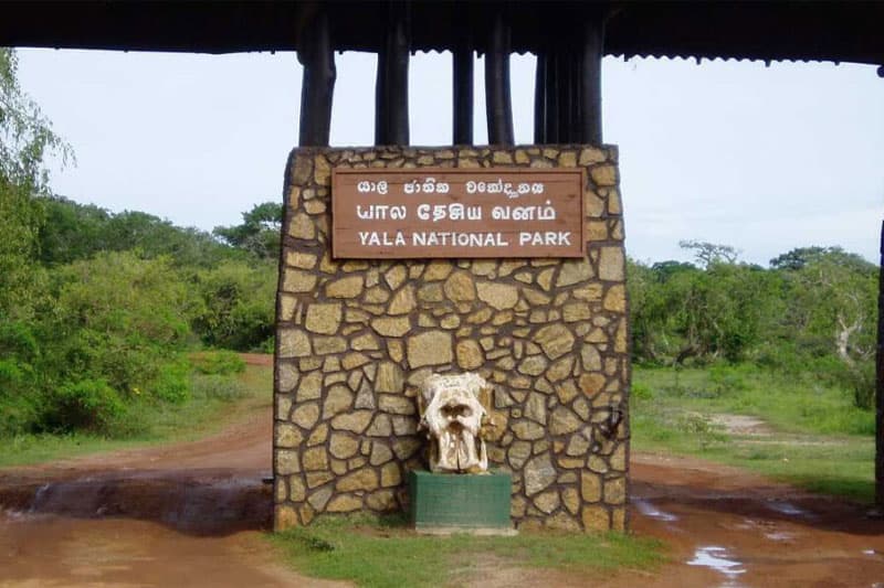 නියඟය හමුවේ වනජීවී පිපාසය නිවන්නට යාලට තාවකාලික නිවාඩුවක්