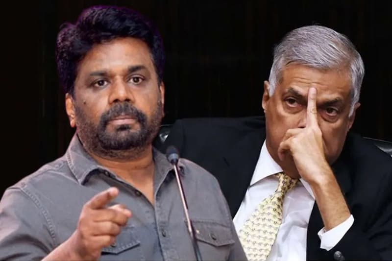 ගෲෂාගේ, රනිල්ගේ සහ අනුරගේ වැල් පාලම..! - (ගාමිණී ජයසූරිය)