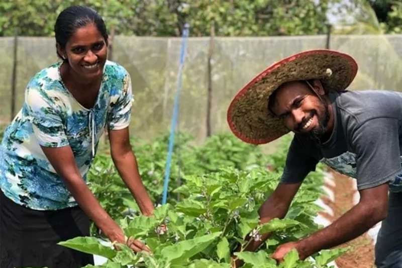 අඩු පොලී අනුපාත යටතේ තරුණ කෘෂි ව්‍යවසයායක ණය වැඩසටහනක්