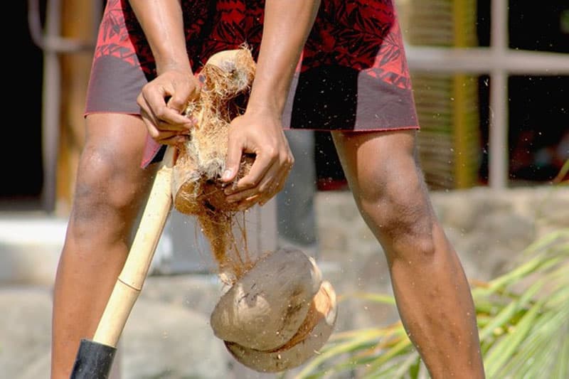 පොල් මිල හමුවේ එලොව පොල් නොපෙනෙන්නට නම්... | රීටා ජෙනට් පෙරේරා