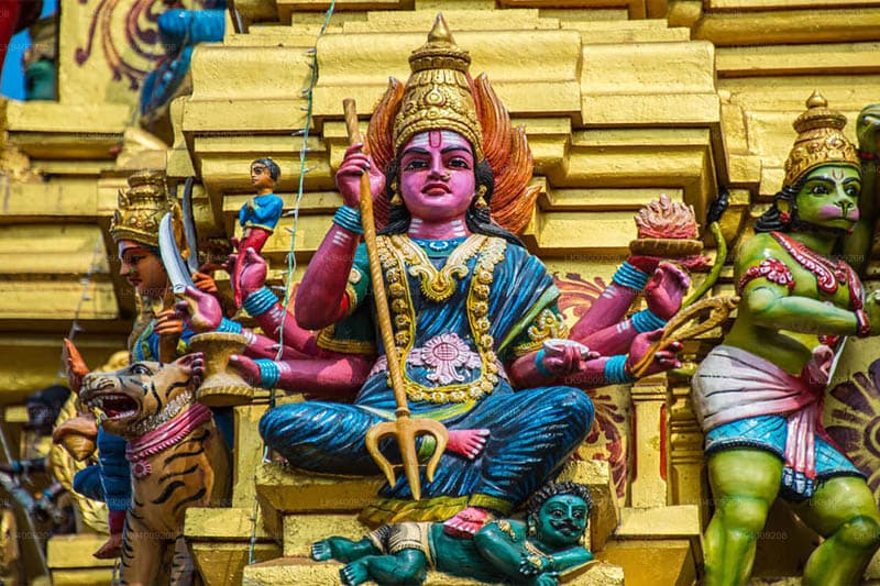 නොරට සිට ආ මුතුන් මිත්තෝ (5) : මාතලේ කුලදෙවියන් පිදූ තැන දේවතාවියක් - (ඉන්දු පෙරේරා) 