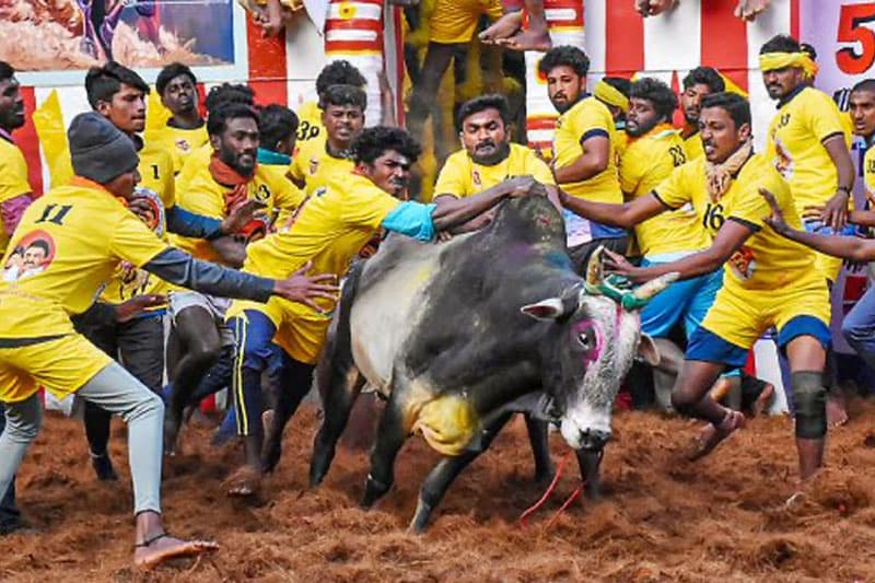 අසරණ ගවයන් නොමරා මරන ජල්ලි කට්ටු අපට මොකට ද? - (ආචාර්ය කේ අරුලානන්දන්)