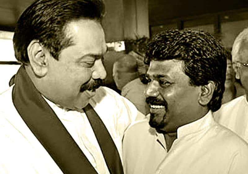 මීයන් සහ සිංහයන් - (එරන්ද ගිනිගේ)