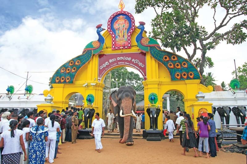 කතරගම බැතිමතුන්ට එදා දඩ මස් වෙනුවට බලු මස්; අද කුකුළු මස් වෙනුවට මොනර මස්? | තිලක් සේනාසිංහ