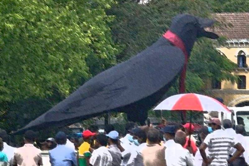 රියැලටිය ඉවර නං