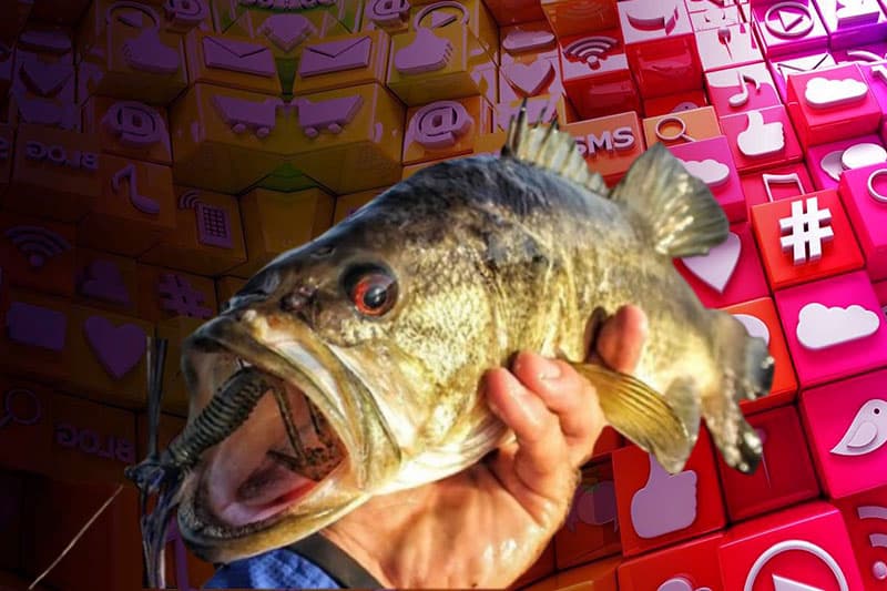 ඇමට අහුවෙලා නහින මාළුවෙක් වෙනව ද ?