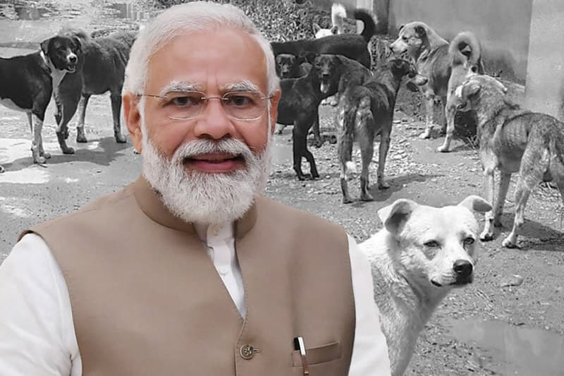 මෝදි එන එකට අනුරාධපුරේ බල්ලෝ ඉවත් කරන එක මෝඩ වැඩක්! | පශු වෛද්‍ය චමිත් නානායක්කාර
