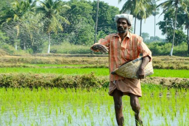 දේශීය කෘෂිකර්මාන්තයේ ව්‍යුහාත්මක වෙනසක් : සමාජ ප්‍රජාතන්ත්‍රවාදී පෙරළියක් - (පිලිප් ශාන්ත)