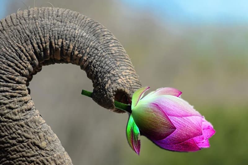 රනිල් - පොහොට්ටු දීගය : (ආචාර්ය මහේෂ් හපුගොඩ කරන විග්‍රහයක් - වීඩියෝ)