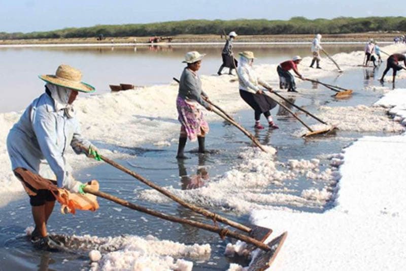 ලුණු නිෂ්පාදනය සියයට 40කින් පහළට?