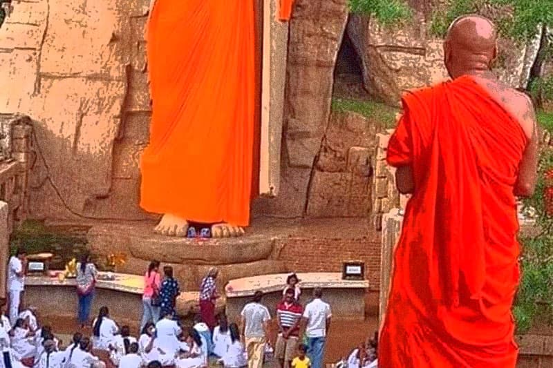 අවුකන පුවතේ ලංකාව - (තිසරණී ගුණසේකර)